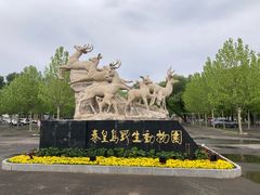 -秦皇岛野生动物园