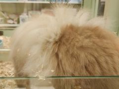 -龙猫仔乐园(惠福东路店)