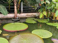 -国家植物园南园