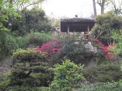 -南山植物园