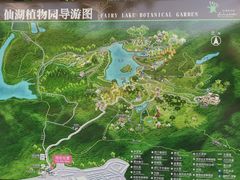 -深圳仙湖植物园