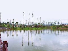 -枫香湖儿童公园