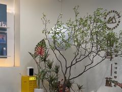 -山与蓝·轻糖鲜果蛋糕(勒泰店)