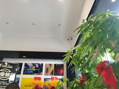 -迈肯专业车体精护·保镖BOP隐形车衣(青岛专营店)