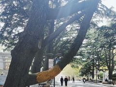 -贮水山儿童公园