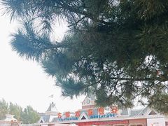 -沈阳方特欢乐世界