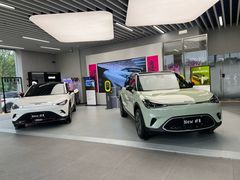 -上海浦东smart汽车全功能店(金桥店)