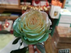 -弗劳尔花艺坊(龙涛店)