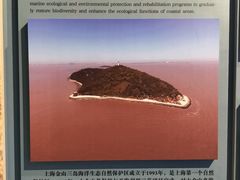 -上海中国航海博物馆