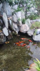 -维倪月子会所(独栋庭院·南海店)