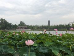 -西海子公园