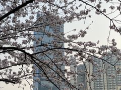-西北湖绿化广场