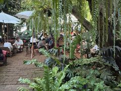 -Fern Forest Cafe