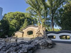 -团结湖公园