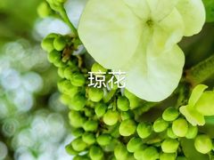 -中山公园