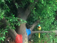 -栖巢咖啡(天鹅湖万达低碳店)