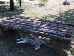 -西安秦岭野生动物园