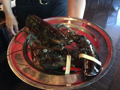 活龙虾-RED LOBSTER(环球影城大阪店)