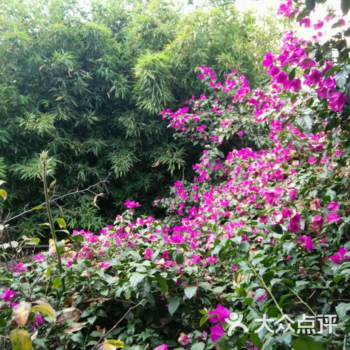 燕子坞青年旅舍图片-北京经济型-大众点评网