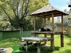 -上海野生动物园