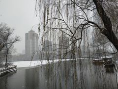 -迎泽公园