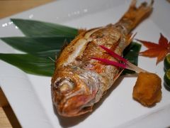 -紫· 割烹  Kappo Murasaki