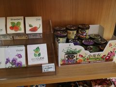 -九木杂物社(恒隆广场店)
