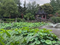 -郑和公园