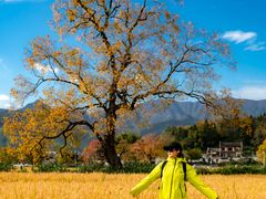 -塔川景区