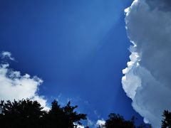 -朱雀国家森林公园