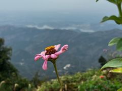 -木兰云雾山