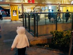 -麦当劳(塔园路店)