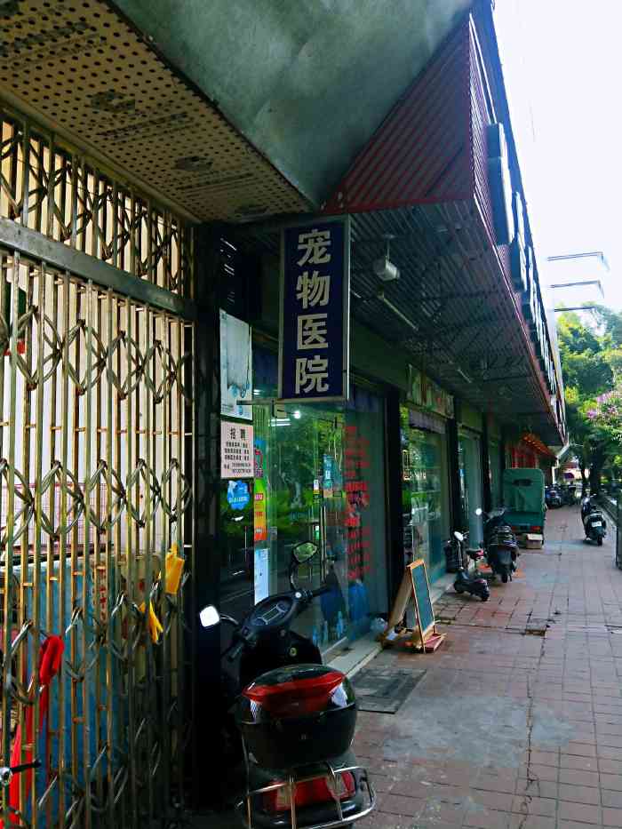 善宠动物医院(会堂店)-"我只想把事实进过说说,如果一个小孩从小就.