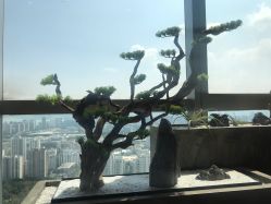 -松和日式美容整骨