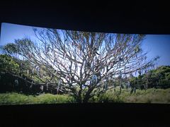 -和平影视娱乐城