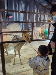 -酷嗒动物文化乐园(cutezoo西溪乐天城店)