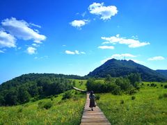 -白草畔自然风景区