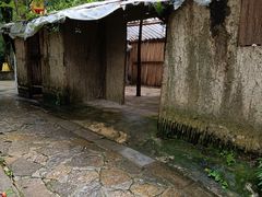 -华莱士·炸鸡汉堡(奥林花园店)