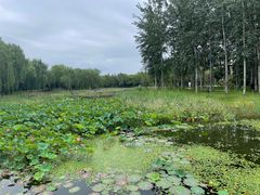 -中关村生命科学园