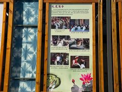 -璞真扎染博物馆