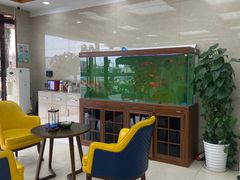 -诺贝川口腔(春都路旗舰店)