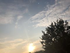 -深圳湾公园(南山区)