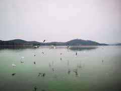 -水上明月·湖景餐厅