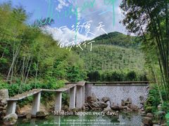 -莫干山风景区