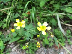 -碓臼峪自然风景区