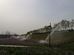 -洨河生态公园