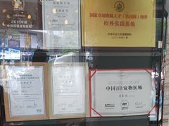 -芭比堂动物医院·心脏科·老年急重症·夜诊·吉雅分院