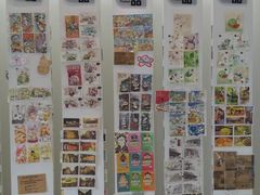 -熊猫屋(宽窄巷子景区店)