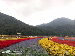 -广州市石门国家森林公园