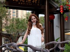 -顺德渔村·岭南一号